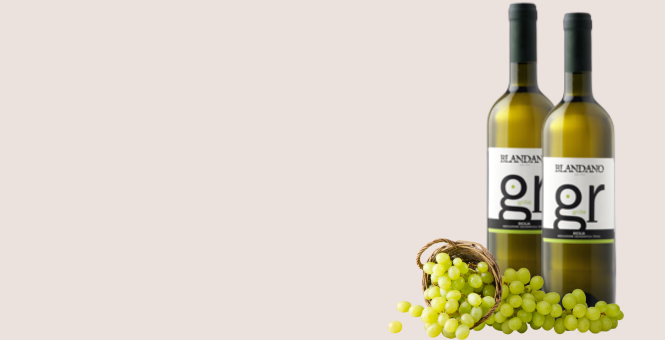 Vino Grillo Blandano